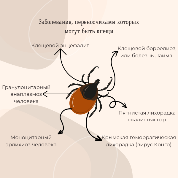 Осторожно: клещи!: Вредные факторы окружающей среды